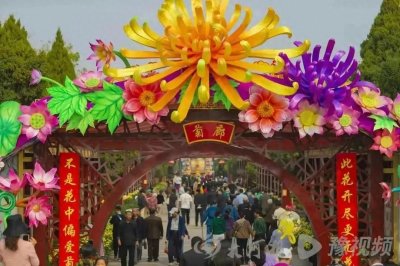 ​开封菊花展市民哄抢花朵，素质堪忧引发网友热议。