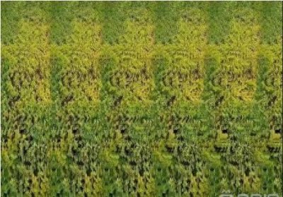 ​这几张3D立体图片，有你喜欢的吗