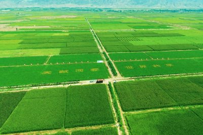 ​“锄禾日当午”成过去？现代化农业高速发展，未来会不需要农民吗