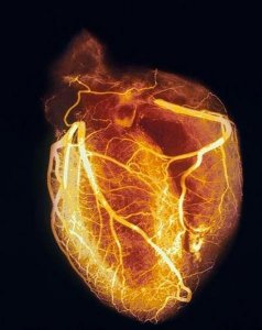 ​一组震撼的心脏图片，胆小者莫入！