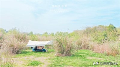 ​不就是湿地公园吗，为啥这么多人？成都周末游，青龙湖湿地公园