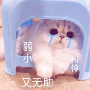 ​德州市-欧乐堡