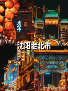 ​民俗风情与节日氛围的盛宴——热闹非凡的蛇年沈阳皇寺庙会见闻
