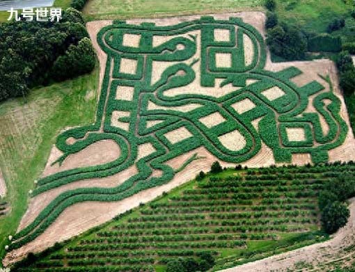 世界十大迷宫,最大有十五个足球场那么大,拿破仑曾“迷路”过!