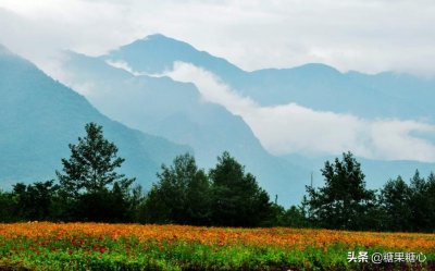 ​彭州小鱼洞，一年我们要来10多次，只为吃冷水鱼