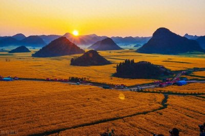 ​惊艳世界的十大花海，去过五个算你厉害，你打卡过几个？