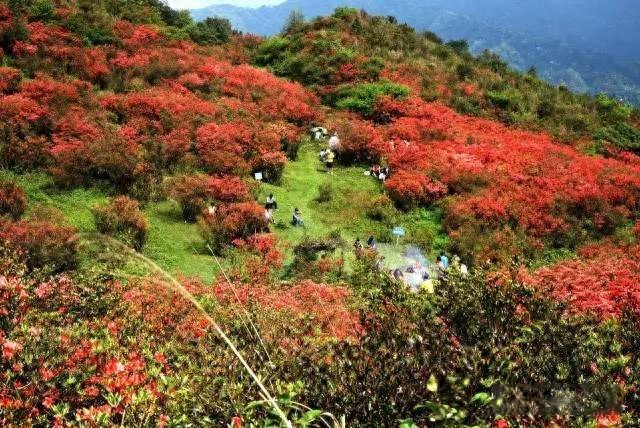 融水元宝山,广西第三高峰那些绝妙胜景