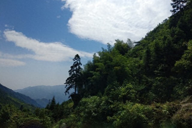 融水元宝山,广西第三高峰那些绝妙胜景