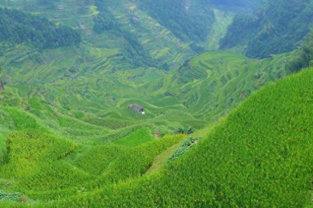 融水元宝山,广西第三高峰那些绝妙胜景