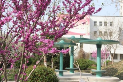 ​山东省潍坊卫校特色及学校简介