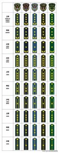 ​我国军衔的级别怎么分，（主要讲下抗扛的是什么如星，麦穗等）?