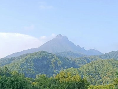 ​海口跌，三亚跌，海南房价暴跌