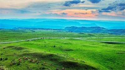 ​夏日逃离计划：这10个城市是你理想的避暑天堂！