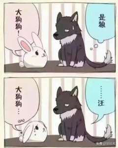 ​小狼狗男生是什么样子，小狼狗和小奶狗分别指什么