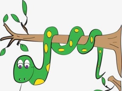 ​野外碰到蛇怎么办(野外遇蛇如何处理)