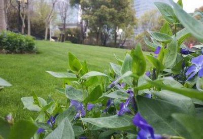 ​欠揍的人什么样子(那些欠债的最后都怎么样了)