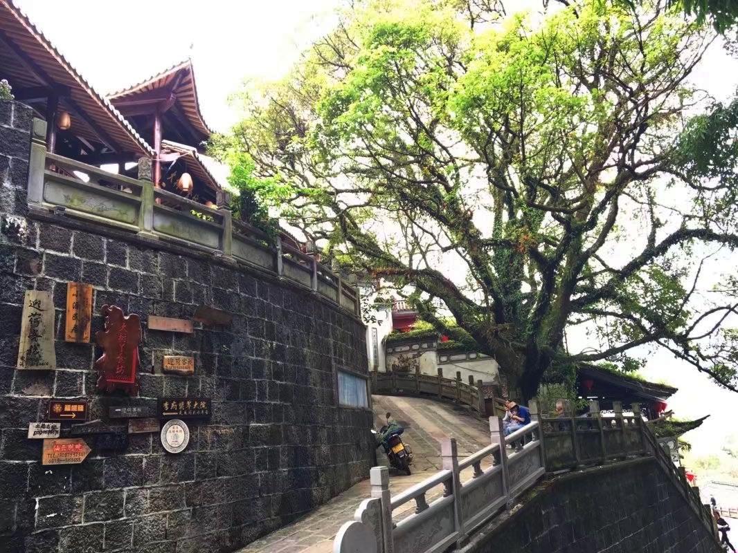 禅达在云南的什么地方(云南禅达在哪里)