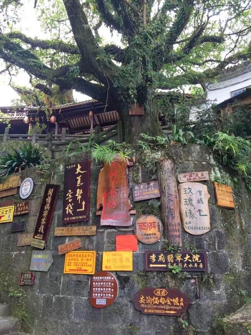 禅达在云南的什么地方(云南禅达在哪里)