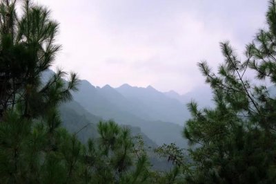 ​野望(王绩《野望》鉴赏)