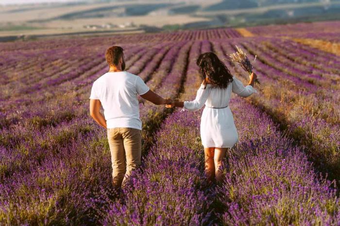 情感导师在线咨询服务（情感导师教你三个保鲜妙招）