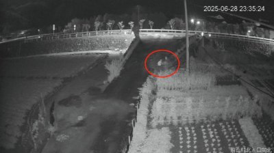 ​一时“嘴馋”深夜开车进玉米地偷玉米，2人被行政拘留