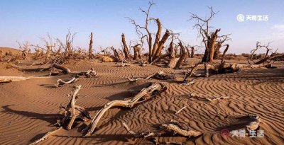 ​沙漠化的原因是什么,沙漠化形成的原因是哪些