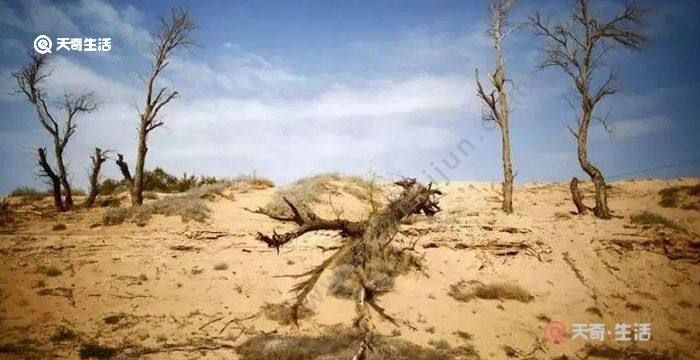 沙漠化的原因是什么,沙漠化形成的原因是哪些