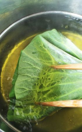 荷叶可以直接晒干泡水喝吗