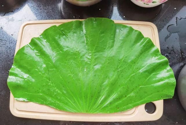 自己摘的荷叶要不要先蒸再晒一下