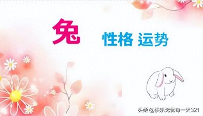 生肖兔的性格特征
