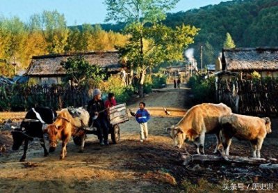 ​70年代的幸福生活照