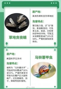 ​就在你身边！常见外来入侵物种档案