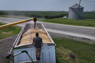 ​美大豆协会呼吁尽早同中国达成协议缓解豆农危机