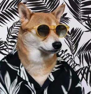 ​无法拒绝的微信头像