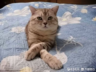 ​我爱威海理由多