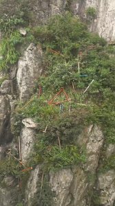 ​有没有想过谁收拾？”泰山景区多处可见被丢弃登山杖，悬崖下也有！