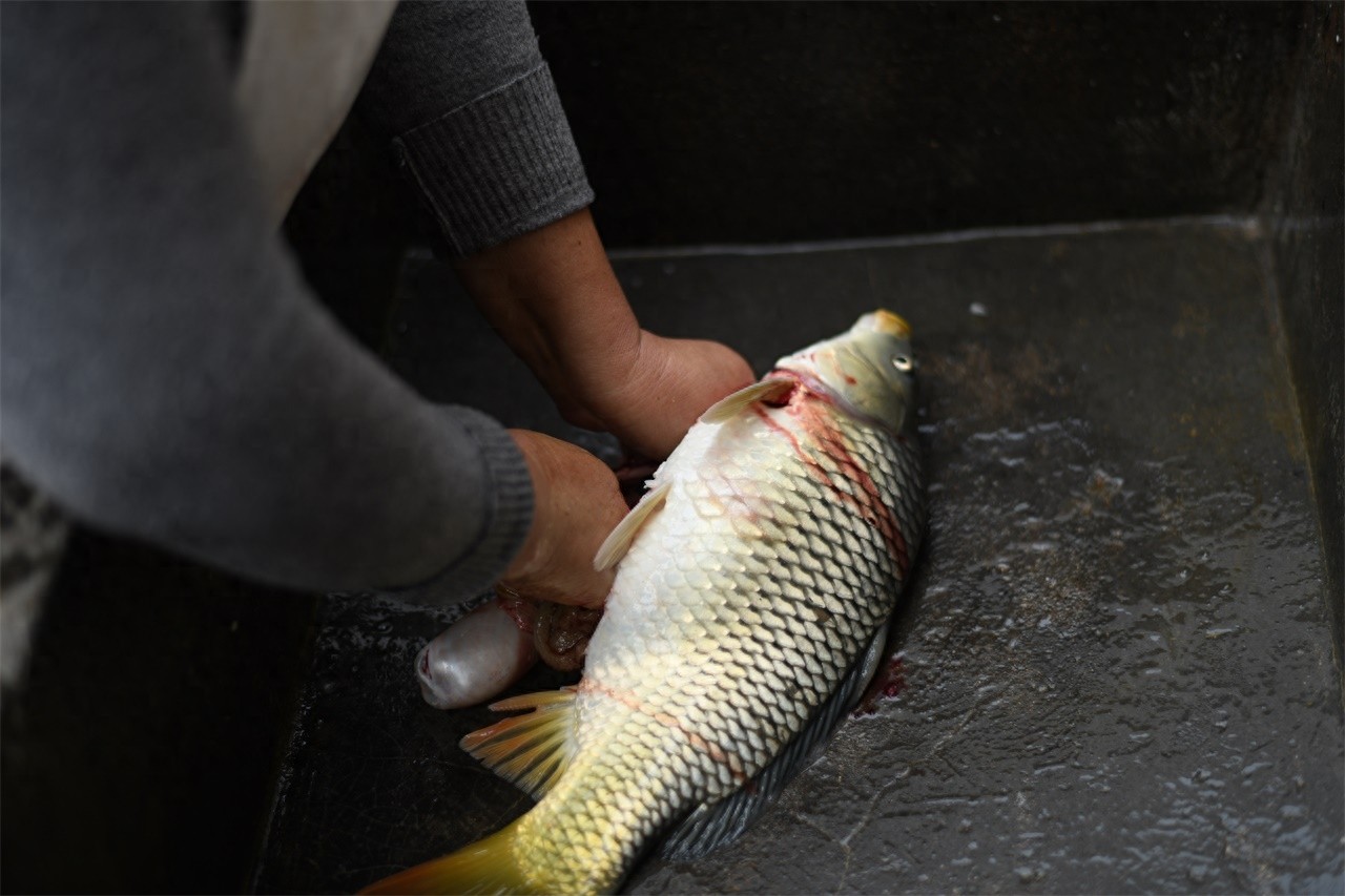 农村大妈做野生黄河鲤鱼,二十五块钱一斤,笑称比猪肉还便宜