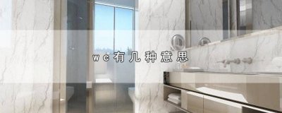 ​WC是什么意思 wc是什么含义