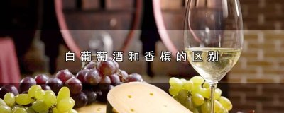 ​白葡萄酒和香槟的区别