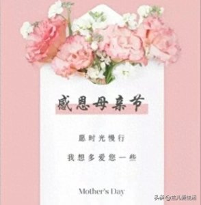 ​母亲节送花指南！这些花妈妈收到会很开心！