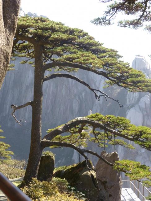 3.西递村——宏达古村落(黄山迎客松)——天柱山——天台山——莲花山——黄山;