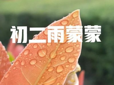 ​今日三月初二，老话“不怕初一晴，就怕初二雨”，啥预兆？