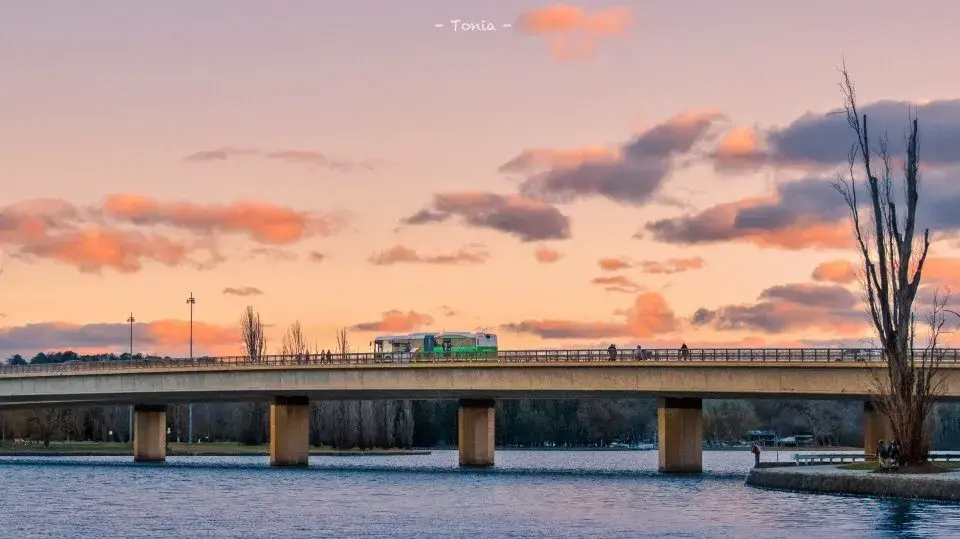压死骆驼的最后一根稻草出自哪本书(压死骆驼的最后一根稻草是什么意思)(图2) 压死骆驼的最后一根稻草出自哪本书(压死骆驼的最后一根稻草是什么意思)(图2)
