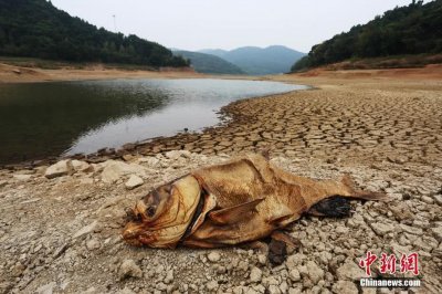 ​江西瑞昌干旱致水库见底，河床干裂