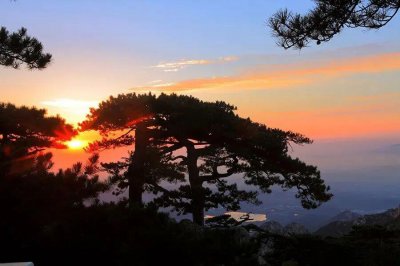 ​陪爬泰山，大学生月入过万