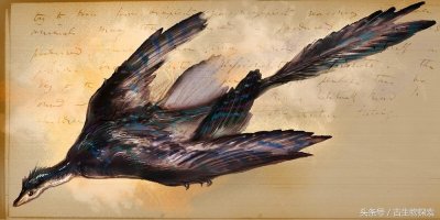 ​中国百年十大恐龙——小盗龙