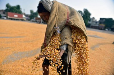 ​特朗普政府取消发布年度饥饿调查 美国舆论质疑声四起
