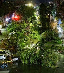 ​“桦加沙”登陆后的20小时，阳江怎样了？