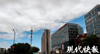 ​有一种“蓝鲸”蓝，刷屏朋友圈