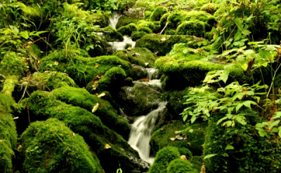 ​鸡西市人口有多少常住人口(鸡西市各区县人口排名)